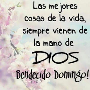 Meet your Posher, Kenia